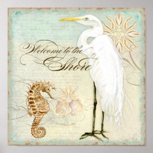 Zee Paarden, groot Egret Kuststrand - fijne kunst Poster