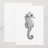 Zee Paarden Kaart (Voorkant / Achterkant)