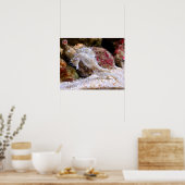 Zee ​ ​ paarden poster (Keuken)