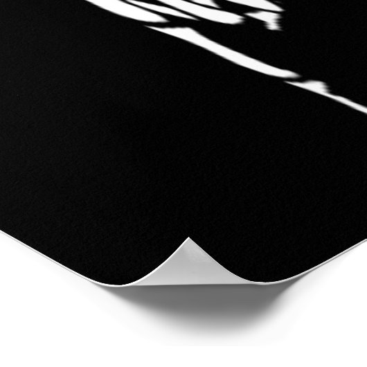  Zee Pirate Poster (Hoek)