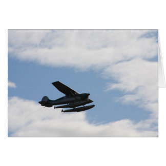 Zee Plane Sillhouette