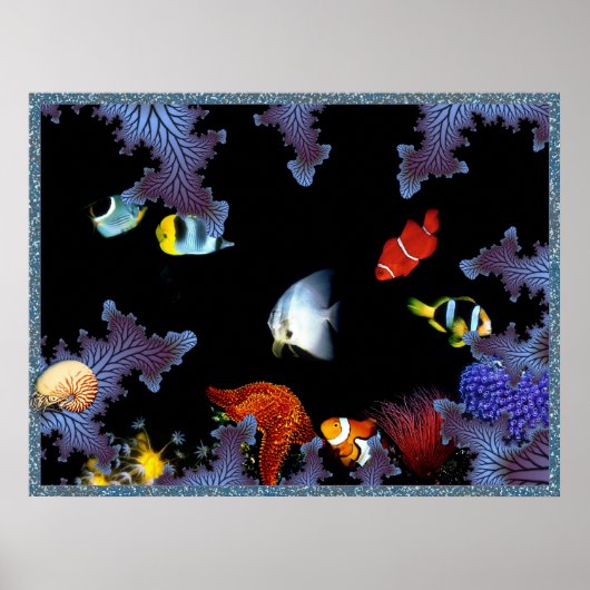 Zee Poster (Voorkant)