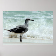 zee poster afdruk