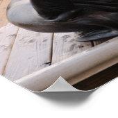 Zee Poster leeuw (Hoek)