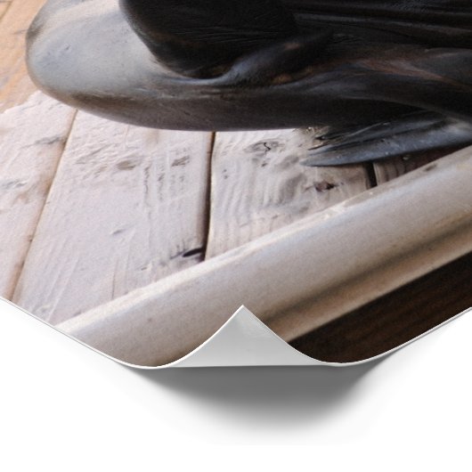 Zee Poster leeuw (Hoek)