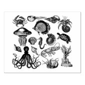 Zee Rubberstempel (Afrduk)