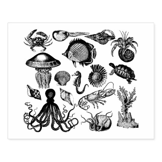 Zee Rubberstempel (Afrduk)