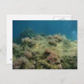 Zee Scape Briefkaart (Voorkant / Achterkant)