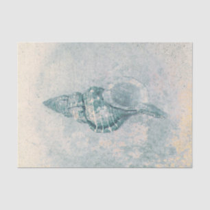 Zee Schelp Turquoise Beige Antieke Oceaankust Text Tissuepapier