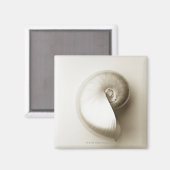 Zee schelp van geparelde nautilus 2 magneet (Voorkant / Achterkant)