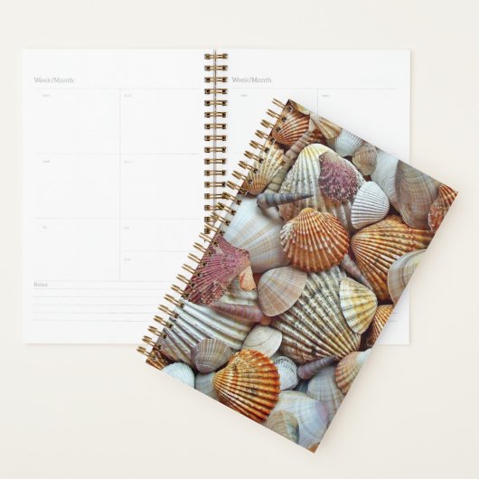 Zee Schelpen Planner (Display)