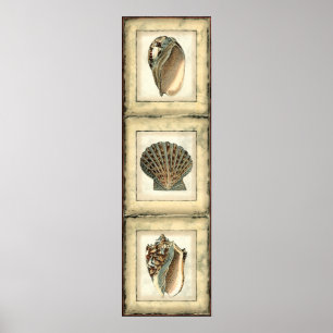 Zee Scheppen van de Shore Poster