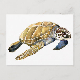 Zee Schets waterverf schildpad Briefkaart