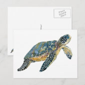 Zee Schets waterverf schildpad Briefkaart (Voorkant / Achterkant)