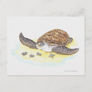 Zee schildpad en baby's briefkaart