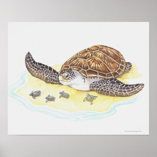 Zee schildpad en baby's poster (Voorkant)
