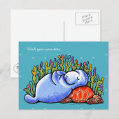 Zee schildpad en lamanaat briefkaart (Voorkant / Achterkant)