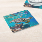 Zee schildpad en vis vierkante kartonnen onderzetter (Schuin)