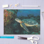 Zee Schildpad in de blauwe oceaan en het mariene l Tissuepapier (Craft)