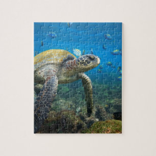 Zee schildpad in lagune Galapagos Legpuzzel