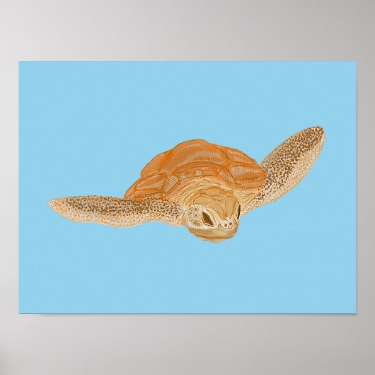 Zee schildpad onder water - transparant. poster (Voorkant)