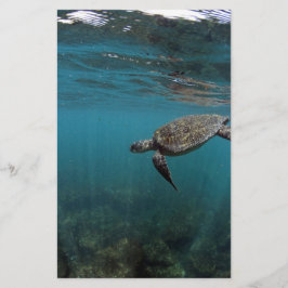 Zee schildpad onderwater Galapagos-eilanden