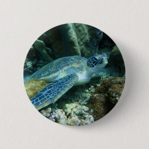 Zee Schildpad op de zeebodem Foto Ronde Button 5,7 Cm