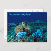 Zee schildpad op Great Barrier Reef Briefkaart (Voorkant / Achterkant)