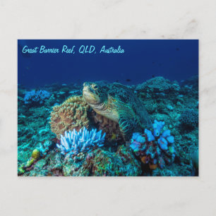 Zee schildpad op Great Barrier Reef Briefkaart
