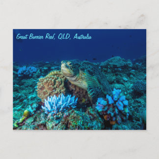 Zee schildpad op Great Barrier Reef Briefkaart