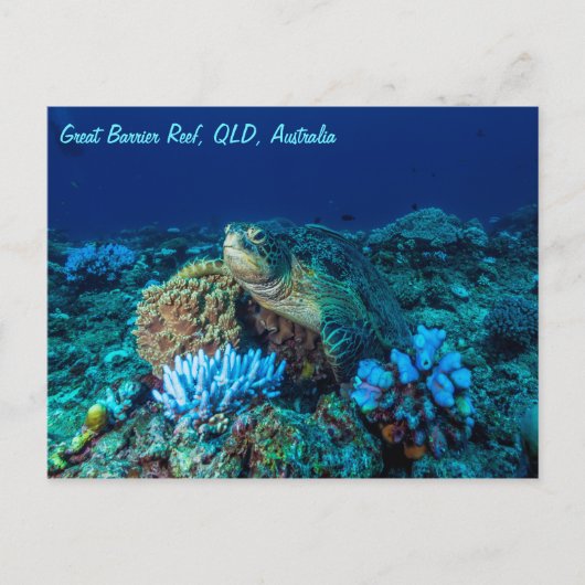 Zee schildpad op Great Barrier Reef Briefkaart (Voorkant)