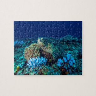 Zee schildpad op Great Barrier Reef Legpuzzel