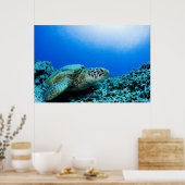 Zee schildpad rust onder water 2 poster (Keuken)