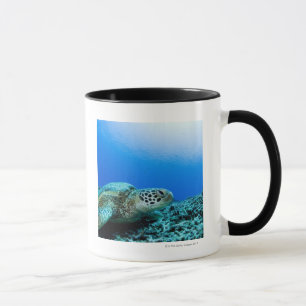 Zee schildpad rust onder water mok