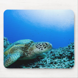 Zee schildpad rust onder water muismat
