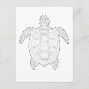 Zee Schildpad Volwassen kleuren Briefkaart
