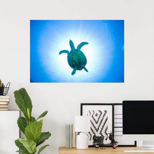 Zee schildpad zwemt onderwater poster (Thuiskantoor)