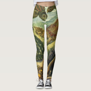 Zee schildpadden en schildpadden van Ernst Haecke Leggings