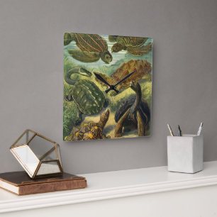  Zee schildpadden en schildpadden van Ernst Haecke Vierkante Klok