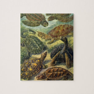 Zee Schildpadden Vintage Landschildpad door Ernst  Legpuzzel