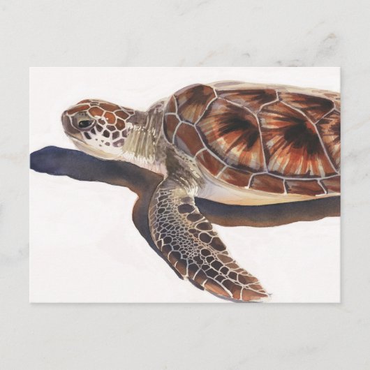 Zee Schildpadden Waterverf kunst Briefkaart (Voorkant)