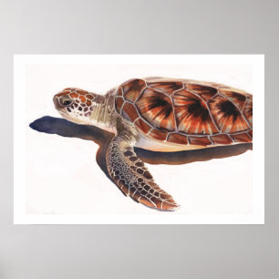 Zee Schildpadden Waterverf kunst Poster