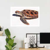 Zee Schildpadden Waterverf kunst Poster (Thuiskantoor)