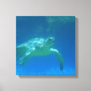 Zee - Schroefdoek Canvas Afdruk