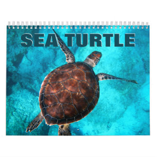 Zee Schuifwand kalender