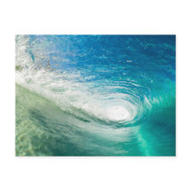 Zee Schuim Mist Coastal Destiny's Destiny