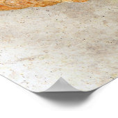 Zee Shell  Antiek Ocean Beach Textuur Poster (Hoek)