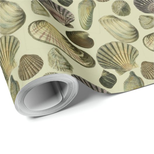 zee shell art cadeaupapier (Rol Hoek)