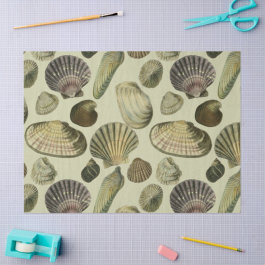  zee shell art tissuepapier (Craft)