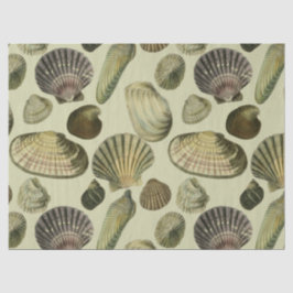  zee shell art tissuepapier